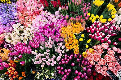 《古今东西狐狸物语》上架steam 纯正和风幻想RPG